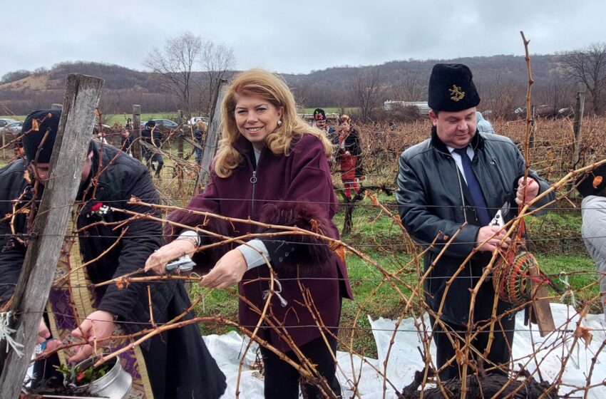  С жителите на Сухиндол вицепрезидентът отбеляза Деня на лозаря