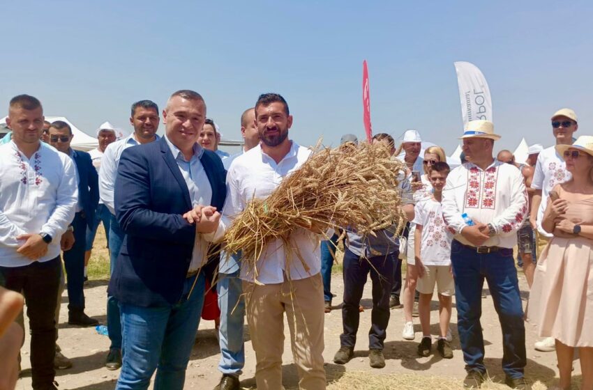  Министър Тахов: Над 6 млн. тона е очакваната реколта от пшеница за 2024 г.