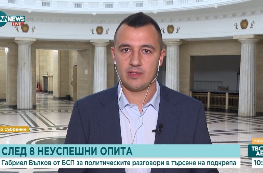  Габриел Вълков: Консенсусният и по-добър кандидат за председател е Наталия Киселова