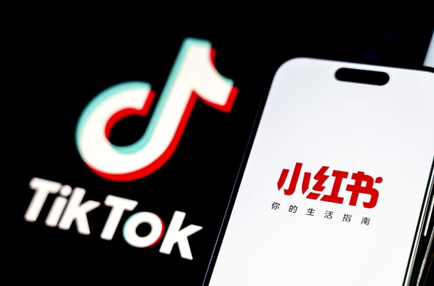  От TikTok до RedNote: Свързване на континенти с едно кликване