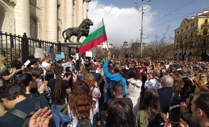  Протест настоя за строги присъди за насилие над животни