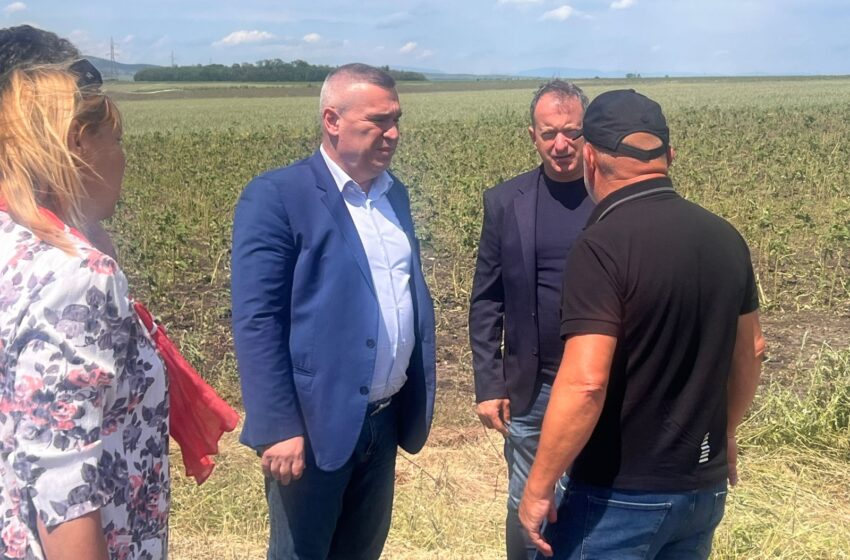  Министър Тахов: Осигурени са средства за компенсиране на щетите от градушки