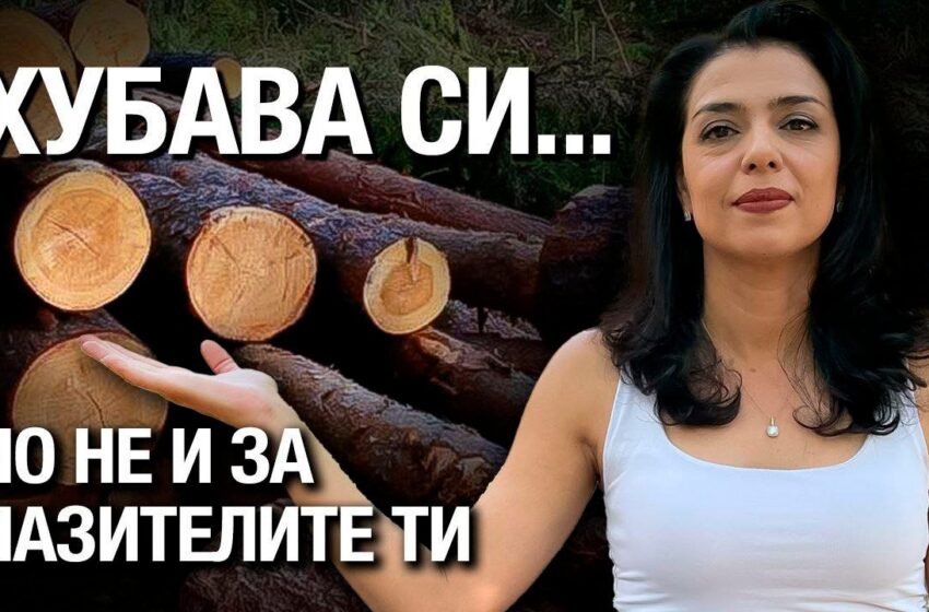 Ваня Григорова: Властта да чуе лесовъдите! (Видео)