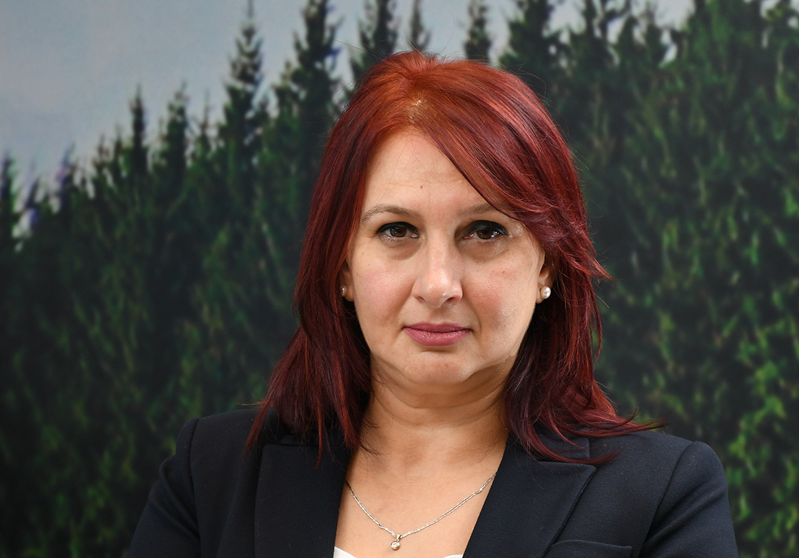 Китайският модел е съчетание между стратегическата роля на държавата и действието на пазарните механизми